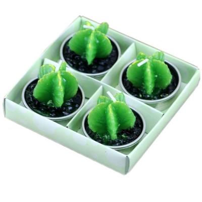 China Gift Box 4 Pcs Cute Potted Succulent Micro Succulent Plant Landscape Scented Candle Cactus Plant Scented Candle for sale