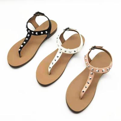 China Light Lady Flats Flip Flop Heel Woman Summer Sold Comfortable New Slipper Outdoor Flat Sandal With Strap for sale