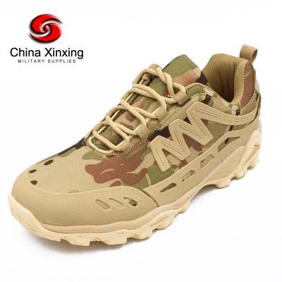 China Xinxing Sport Camouflage Breathable Running Walking Outdoor Camping Sport Hiking Military Tactical Hiking Shoes TS10 Soft Shoes Men for sale