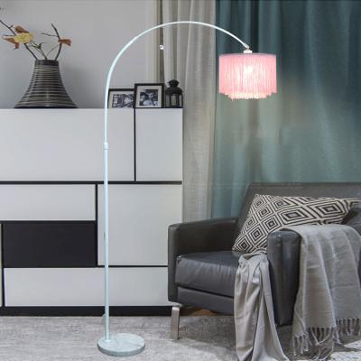 China Low Price Modern High Quality Modern Arc Fashion INS Bedroom Fishing Tassel Nordic Standing Floor Lamp for sale