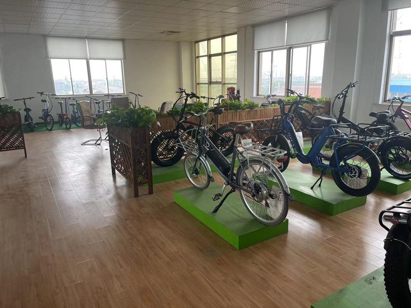 Verified China supplier - Changzhou Cobiking Co., Ltd.