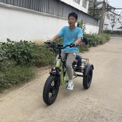 China 2023 CoBiking Factory Price Aluminum Electric Tricycle Three Wheel Pedal Assist Electric Bike OEM Customize Electric Cargo Tricycle Adults for sale