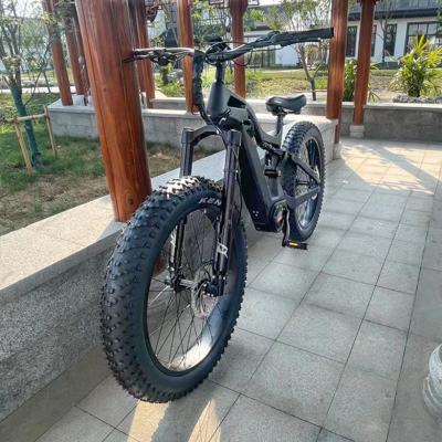 China Carbon fiber e bike mtb 750w powerful mountain electric ebike full carbon fiber frame for sale