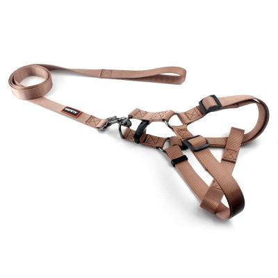 China Top Level Stocked Professional Wholesale Nylon Material Dog Harness And Leash for sale