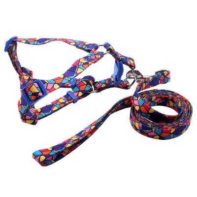 China New DETACHED custom sublimation printed sport dog harness set with pet leash for sale