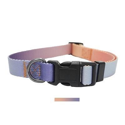 China Fashion Dog Collar Ombre Color Designer Pet Collar Strap Neck Stocked Walking Collars for sale