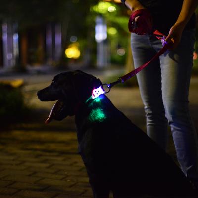 China DETACHED Pet Flashing Design with Custom Reflective Padded Nylon Led Dog Collar for sale