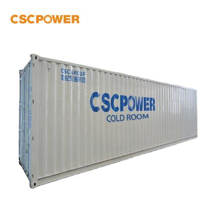 China Hotels 20FT 40FT Container Freezer Cold Storage Room And Freezer Chiller Container for sale