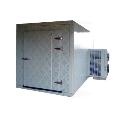 China Hotels Blast Freezer Cold Room Walk In Freezer For Chicken Beef Fish Seafood for sale