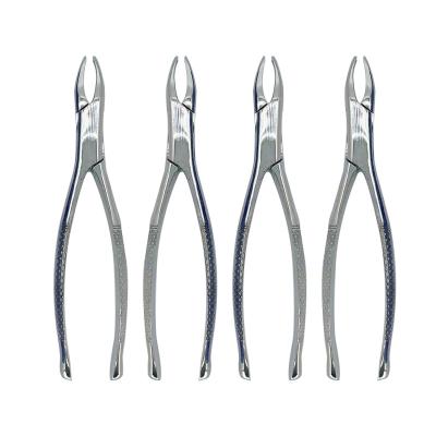 China Dental Instruments Grown man Tooth Extraction Forceps Dentist Surgical Tools Stainless Steel Extracting Forceps for sale