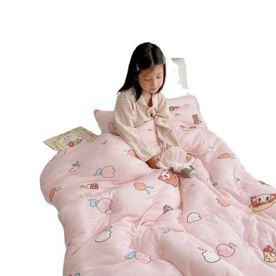 China Fashion Anti-static Home Comforter Set Bedding Warm Winter Down Duvet Comforters for sale