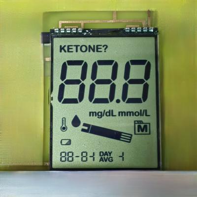 China Reflective HTN Character LCD Display,  20x4 Large Size Dot Matrix 6h Angle for sale