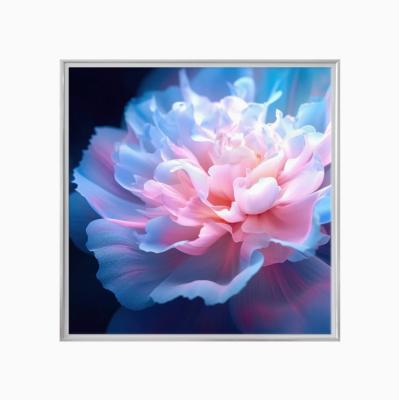 China 2024 New Factory 29.5 Inch Ultra Thin Mini LED Square LCD Monitor Display For Digital Picture Frame Art Exhibition for sale