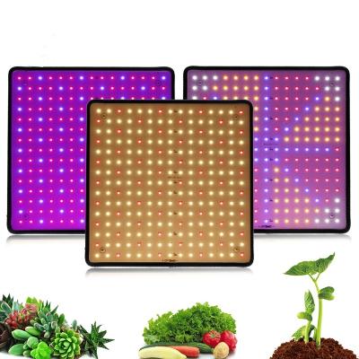 China Seed Starting 1000W LED Grow Lights Plant Growth Led Full Spectrum Lamp Bulb Greenhouses Indoor Phyto Lamp Tent EU UK US Plug Grow Light for sale