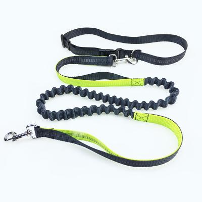 China Long DETACHED Retriever Training Rope Leash Dog for sale