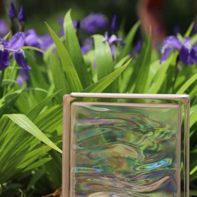 China Modern Quality Hollow Glass Blocks Crystal Clear Glass Brick for sale