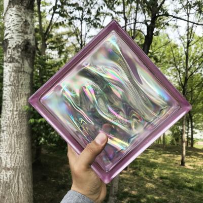 China Courtyard Hollow Glass Block For Wall Decoration Modern Style for sale