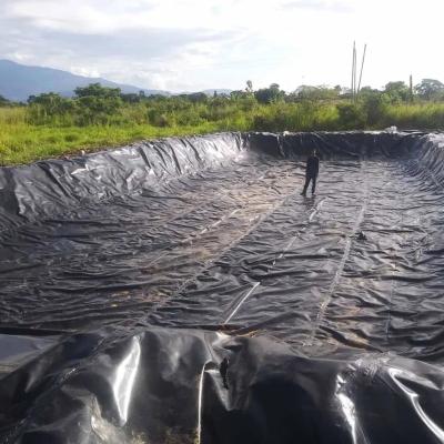 China Best Price Industrial HDPE Membrane Dam Landfill Aquaculture Fish Farm HDPE Geomembrane Pond Liner for sale