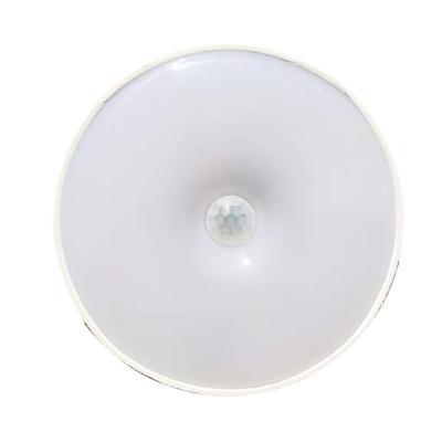 China Hot Selling Eco-friendly Cabinet Smart LED Night Light Human Motion Sensing Night Light USB Rechargeable for sale