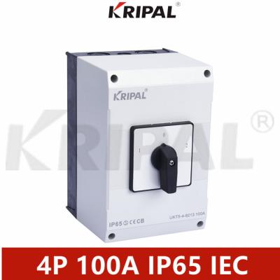 China Industrial Control Switch 100A IP65 Cam Inverter With Lock IEC Standard for sale