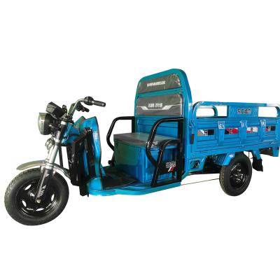 China Professional Electric Cargo Tricycle Custom Made Cargo Electric Tricycle for sale