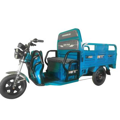 China Cheap and high quality 3 wheel cargo and passenger electric scooter for the elderly 2 seats fat tire electric tricycle with 3 wheels for sale