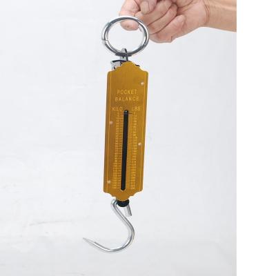 China 50kg Hanging Scale Spring Luggage Scale Portable Balance Fishing Balance for sale