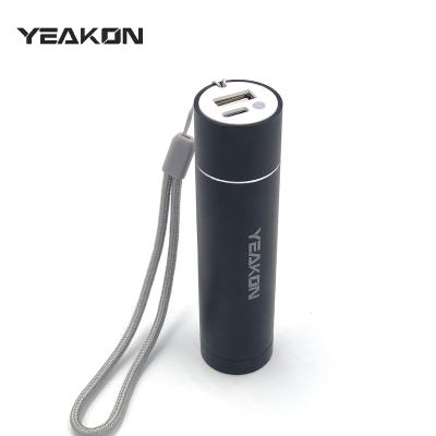 China Fast Charging Support USB C Input Interface Li-polymer Battery Charger 5000mah Power Bank Portable Gift Mini Flashlight Designed Keychain Powerbank for sale