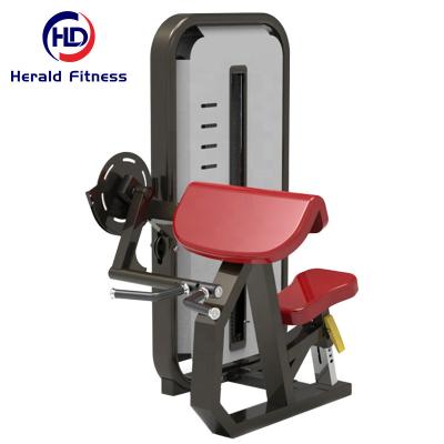 China Commercial Use 2023 High End Professional Gym Strength Training Commercial Use Pin Loaded Camber Curl Machine for sale