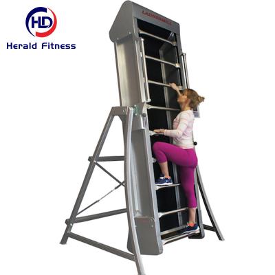 China Commercial Use Wholesale Price Workout Strength Mquinas De Gimnasio Cable Machine Gym Multi-Function Laddermill For Bodybuilding for sale