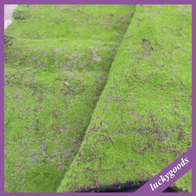 China Almost Nature Plastic Fake Moss Carpet LTX014-LTX021 for Garden Decoration Plastic Grass for sale