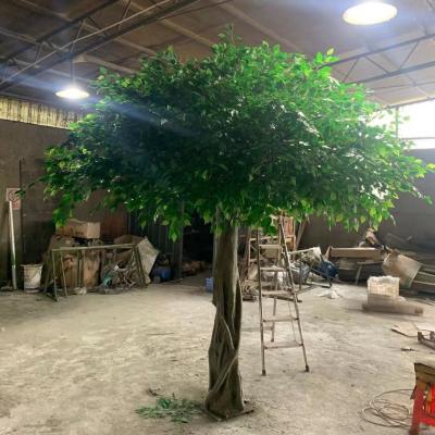 China Contact FZS210410-3 Luckygoods New Design High Quality Natural Artificial Banyan Plant Tree For Decoration for sale