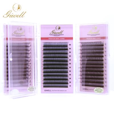 China Flase Eyelash Extension GIWELL private logo yy silk white hypoallergenic dense matte eyelash extensions for sale