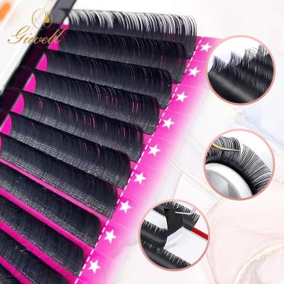 China GIWELL Soft Premium Quality All Size D Curl Flat Type Eyelash Silk Ellipse Y Extension for sale