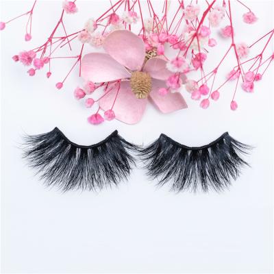 China Long Zwo 2021 fashionable wholesale wxx eyelashes customize different extensions eyelash for sale