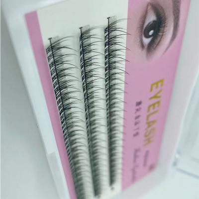 China 2022 Superroots Fan Eyelash Fan Zwo Natural Soft Short Rod Natural Soft Short Eyelash Fan superroots eye whips 4d eyelash extension for sale