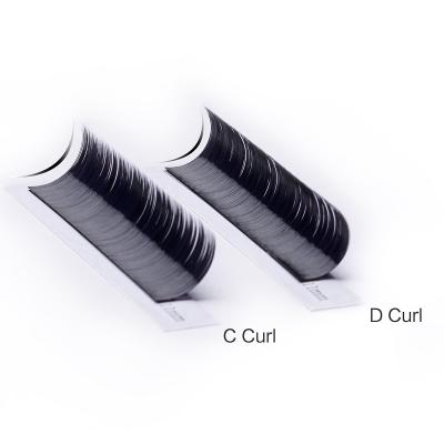 China 2022 Natural High Quality Zwo Shape Eyelash Extension Volume Eyelash Extension Trays Soft/Long Lasting Eyelash Extension for sale