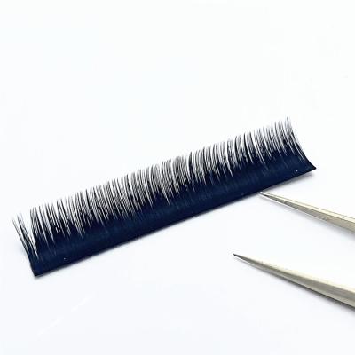 China Zwo 2022 Natural Soft Easy To Do Fast Growing Easy Fanning Eyelash Extension for sale