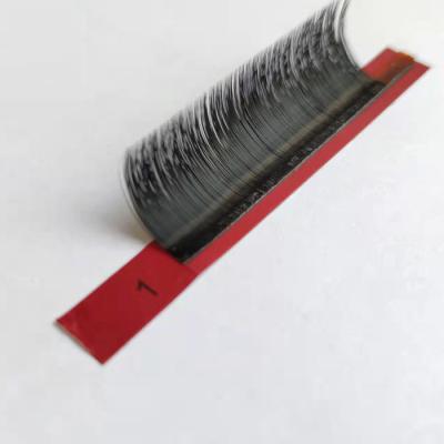 China 2022 Zwo Natural Soft Hot Selling Easy Fanning Eyelash Extensions With Great Price for sale