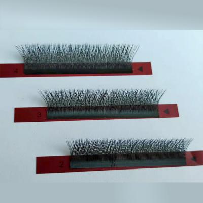 China 2022 New Zwo Design Natural Soft Clover Eyelash Extension With Low Price for sale