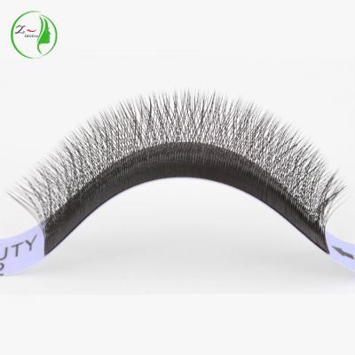 China Zwo New Design Classic 18 Rows 0.05Mm Natural Soft 2022 Clover Eyelash Extensions With Low Price for sale