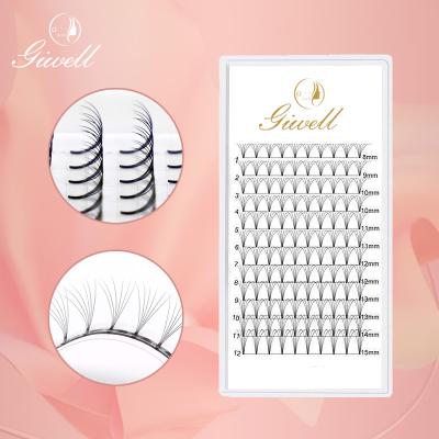 China Korean PBT Fiber GIWELL Curl D C Thickness 0.07 Wonderful Synthetic Premade Fan Eyelash Extension for sale