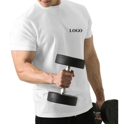 China Custom Plain Anti-Shrink Men Design T Shirts Wholesale Fitness Golf Logo Polyester Printed T-Shirts For Sublimation for sale