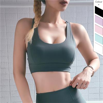 China Antibacterial Antibacterial Shockproof Bra Yoga Gathering Fitness Vest Beauty Back Female Sports Underwear for sale