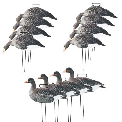 China OEM Plastic Lifelike PP Silhouette Specklebelly Goose Decoys Anti Reflective for Hunting for sale