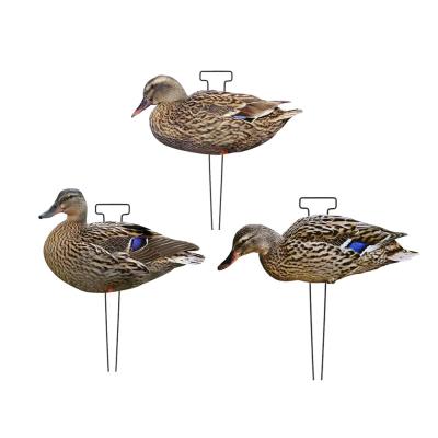 China 1200g Lifelike Hunting Decoys PP Board Silhouette Decoys Recyclable Anti Scratch for sale