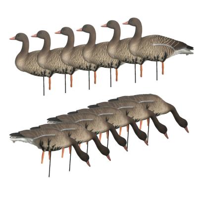 China 350g Real Like Size Specklebelly Goose Decoys Full Body Floating For Hunting for sale