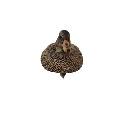 China Material PE duro Mallard Drake Decoys And Hen Decoys Shooting Outdoor Caça à venda