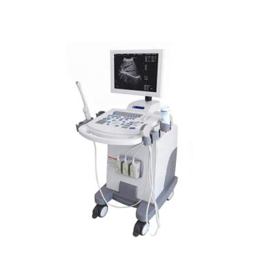 China THR-US370 B/W Plastic Plastic Hospital Ultrasound Scanner With Trolley for sale