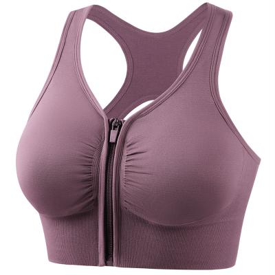 China Amazon Breathable Women Plus Size Gym Sports Bra Top Front Zipper Yoga Bra Fitness for sale